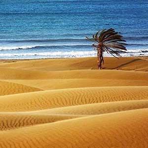 اپیوم در کنارک | ☎️ 07642228010 - زیر نظر پزشک متخصص