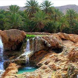 اپیوم در حاجی آباد | 07642228010
