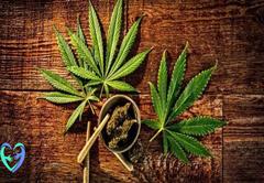 نشانه های رفتاری و روانی اعتیاد به گل 07642228010