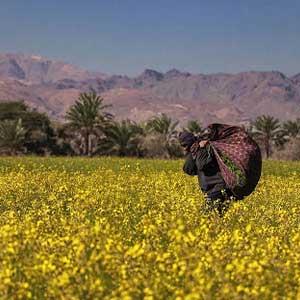 ترک اعتیاد منوجان | ☎️ 07642228010 - زیر نظر پزشک متخصص